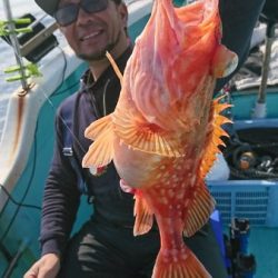 シードリーム 釣果