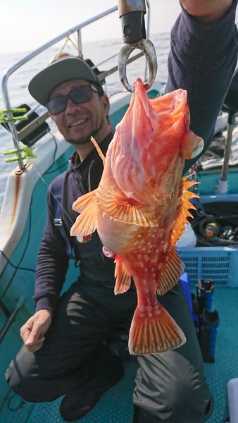 シードリーム 釣果