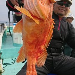 シードリーム 釣果