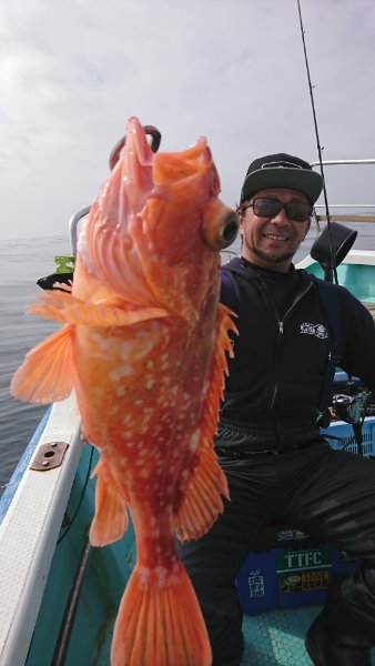 シードリーム 釣果