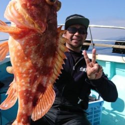 シードリーム 釣果