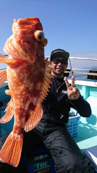 シードリーム 釣果