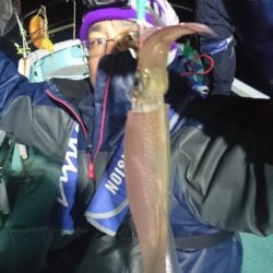 シードリーム 釣果