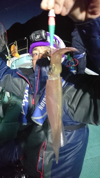 シードリーム 釣果