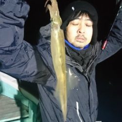 シードリーム 釣果