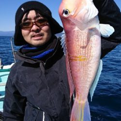 シードリーム 釣果