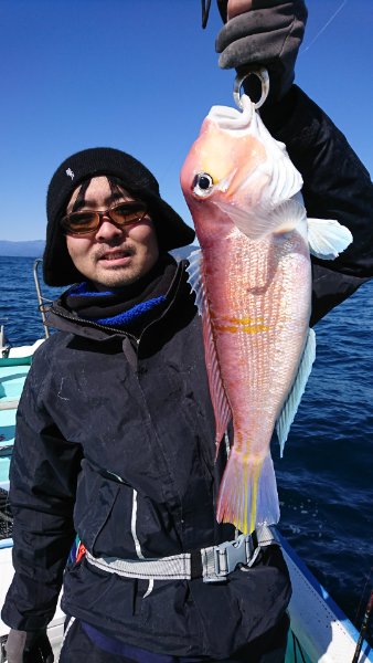 シードリーム 釣果