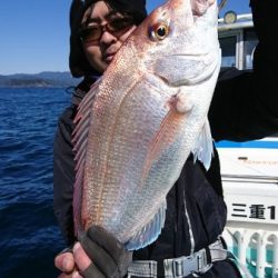 シードリーム 釣果