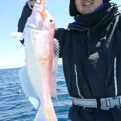 シードリーム 釣果