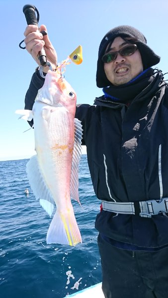 シードリーム 釣果