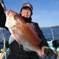 シードリーム 釣果