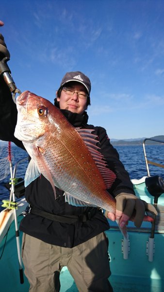 シードリーム 釣果