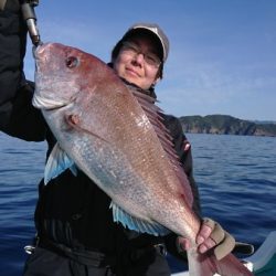 シードリーム 釣果