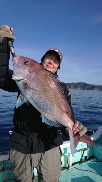 シードリーム 釣果