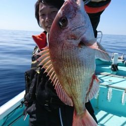 シードリーム 釣果