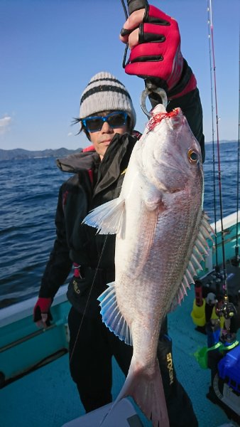 シードリーム 釣果