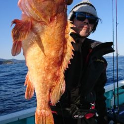 シードリーム 釣果