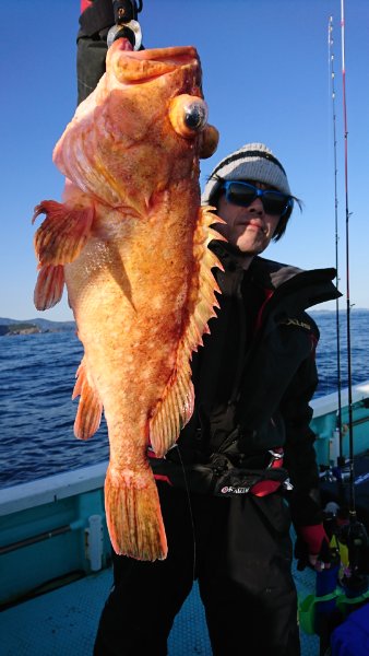 シードリーム 釣果