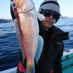 シードリーム 釣果