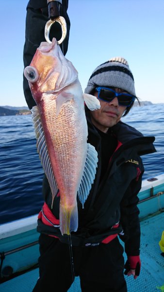 シードリーム 釣果