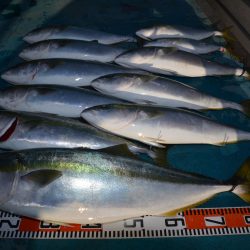 アジアマリンサービス 釣果