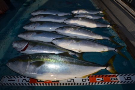 アジアマリンサービス 釣果