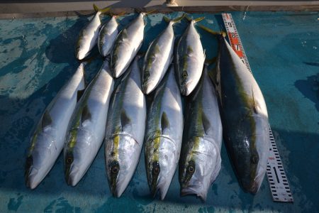 アジアマリンサービス 釣果