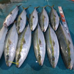 アジアマリンサービス 釣果