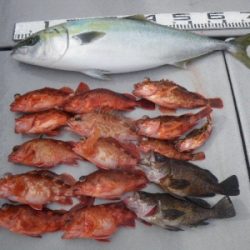 磯部釣船 直栄丸 釣果