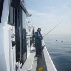 磯部釣船 直栄丸 釣果