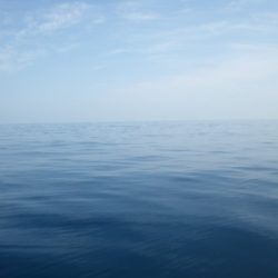 磯部釣船 直栄丸 釣果