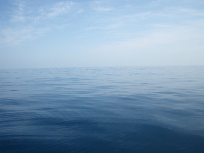 磯部釣船 直栄丸 釣果