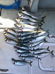 さぶろう丸 釣果