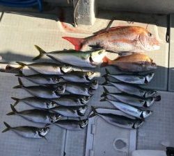 さぶろう丸 釣果