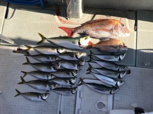 さぶろう丸 釣果