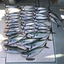 さぶろう丸 釣果