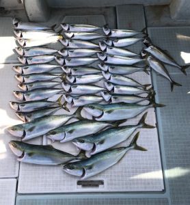 さぶろう丸 釣果