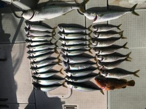 さぶろう丸 釣果