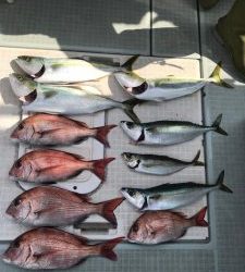 さぶろう丸 釣果