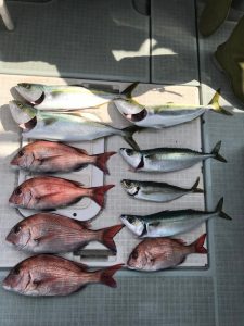 さぶろう丸 釣果
