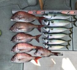 さぶろう丸 釣果