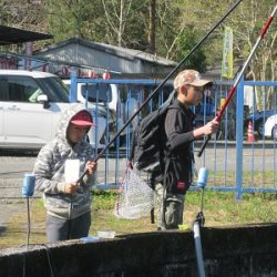 安倍川・藁科川(安倍藁科川漁業協同組合) 釣果