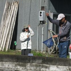 安倍川・藁科川(安倍藁科川漁業協同組合) 釣果