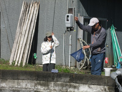 安倍川・藁科川（安倍藁科川漁業協同組合） 釣果