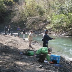 安倍川・藁科川(安倍藁科川漁業協同組合) 釣果