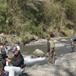 安倍川・藁科川(安倍藁科川漁業協同組合) 釣果