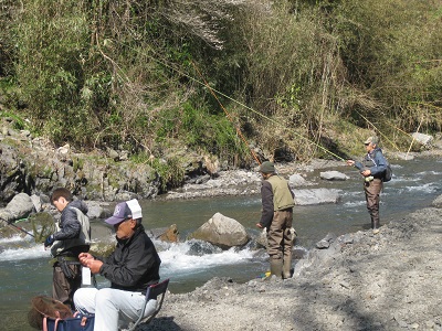 安倍川・藁科川（安倍藁科川漁業協同組合） 釣果