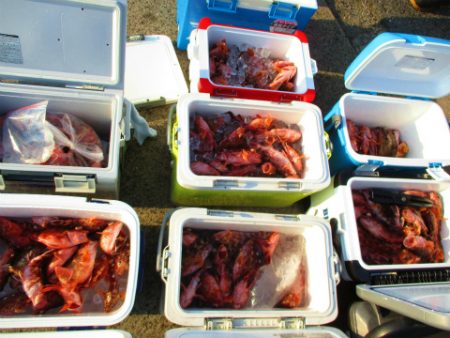 フィッシングガイド とちぎ 釣果