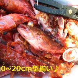 フィッシングガイド とちぎ 釣果