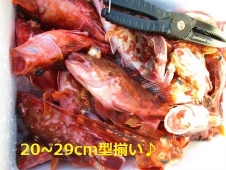 フィッシングガイド とちぎ 釣果